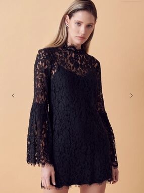Endless Rose Black LaceMini Dress Bell Slevees Coquette Whimsygoth Romantic Goth